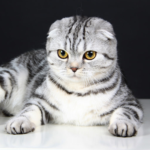 Hd-186246-ascw186246