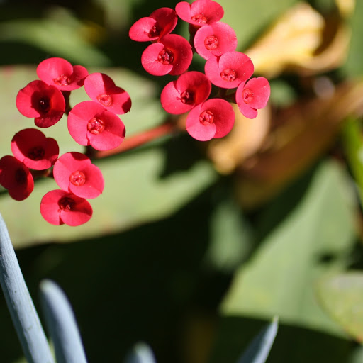 Hd-165227-ascw165227