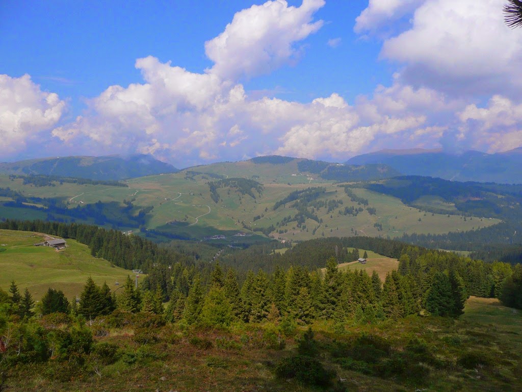 [P10903894.jpg]