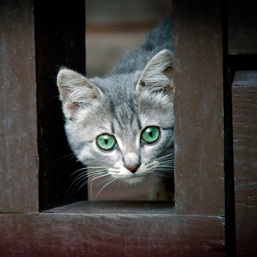 Hd-180745-ascw180745