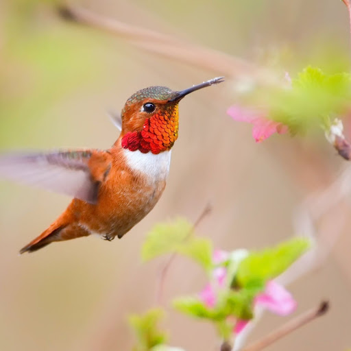 Hd-143933-ascw143933