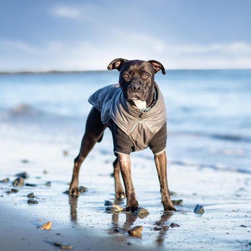 Hd-179064-ascw179064