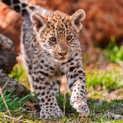 Hd-134639-ascw134639