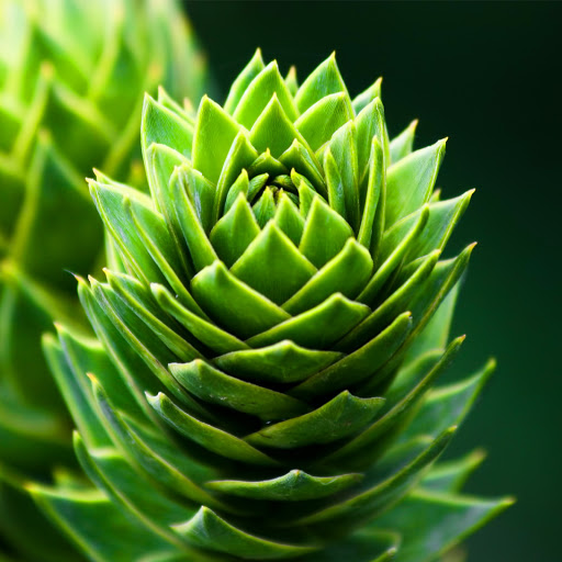 Hd-136650-ascw136650