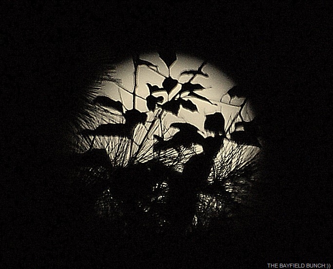 [DSC_4513%255B10%255D.jpg]