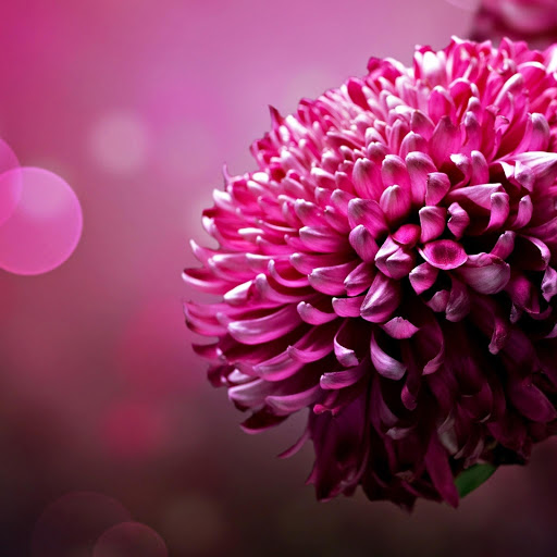 Hd-167900-ascw167900