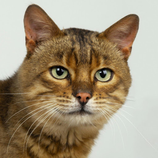 Hd-182108-ascw182108