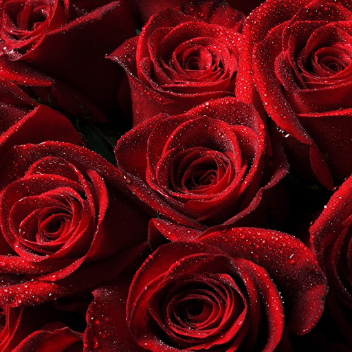 Hd-144390-ascw144390