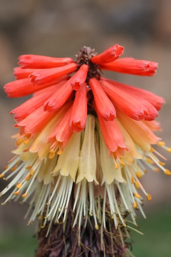 20100301 (11) (Large)