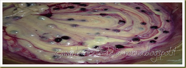 Muffin allo yogurt e mirtilli (7)