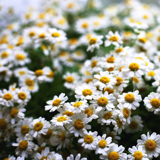 Hd-173744-ascw173744