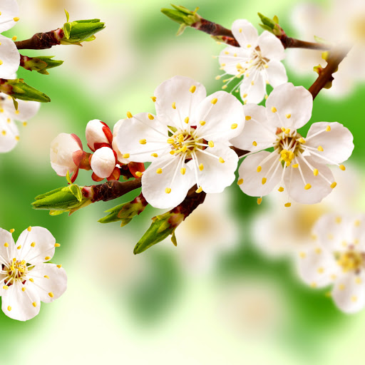 Hd-167504-ascw167504