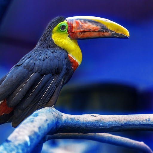 Hd-183965-ascw183965