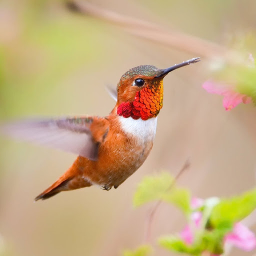 Hd-142765-ascw142765