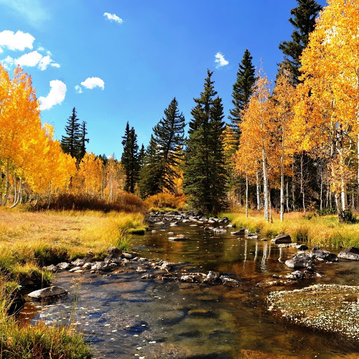 Hd-146331-ascw146331