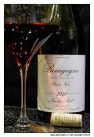 Bourgogne-Pinot-Noir-2010-Nicolas-Potel