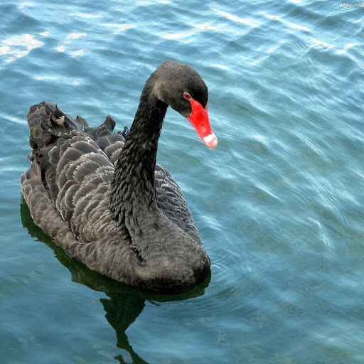 Hd-174051-ascw174051