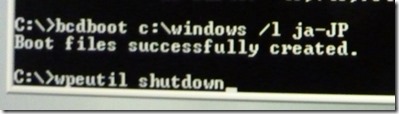 windowsPEで処理