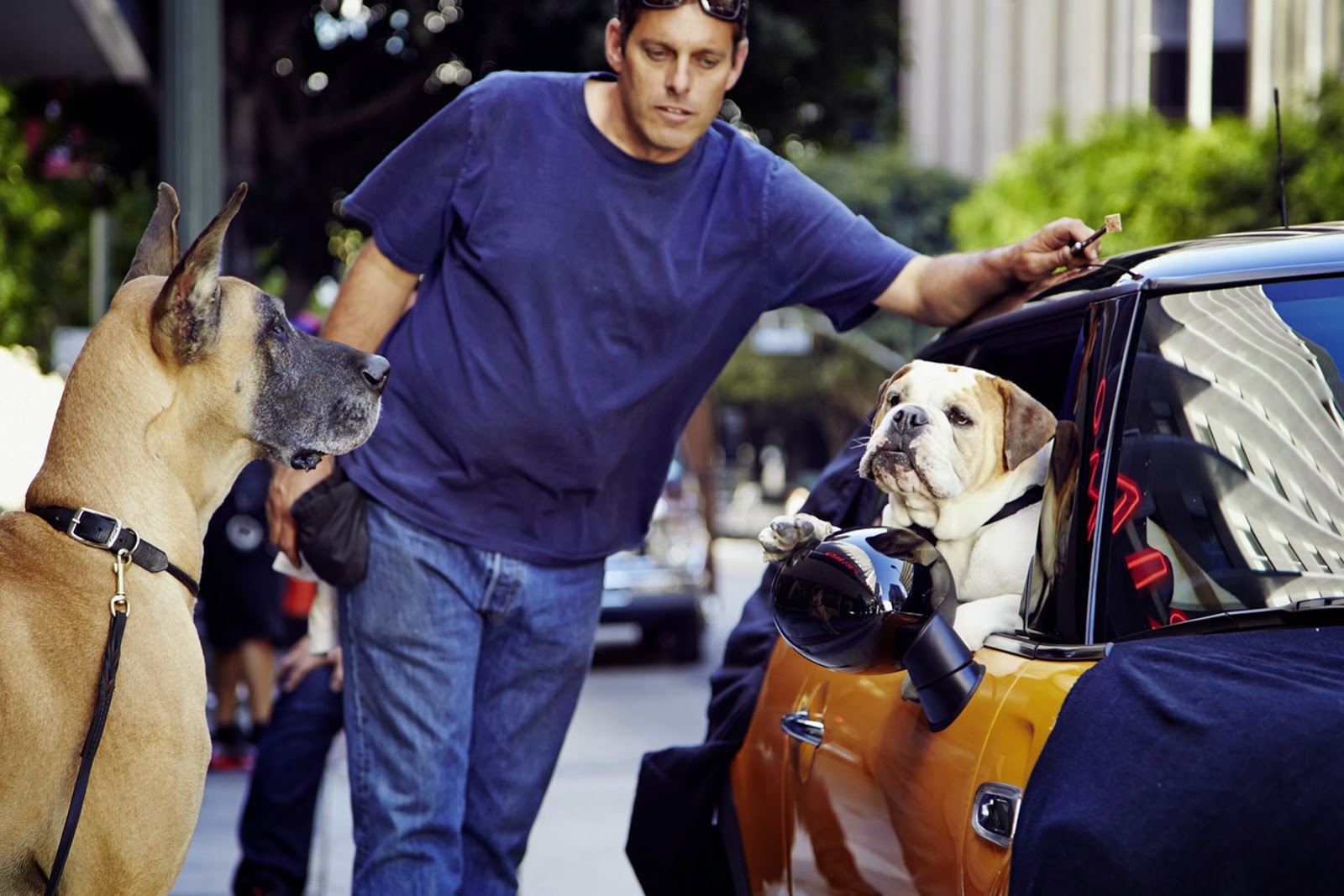 [New-Mini-commercial-1%255B3%255D.jpg]