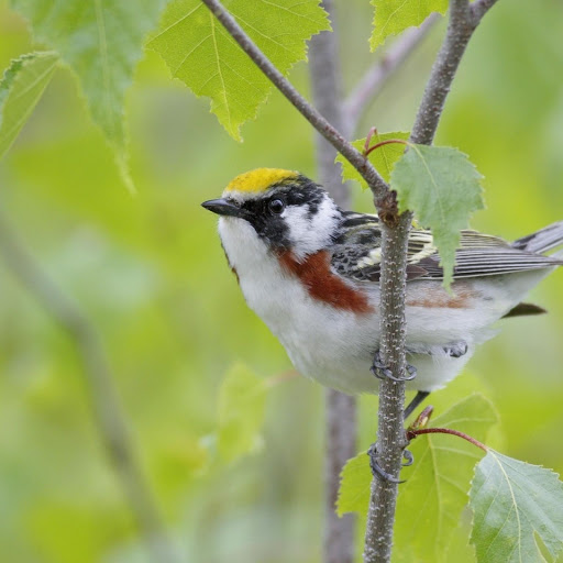 Hd-147055-ascw147055