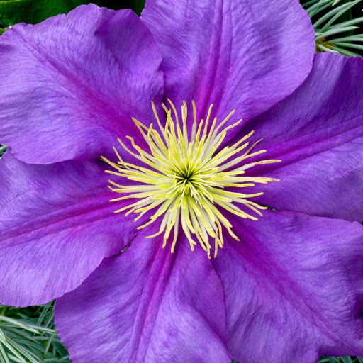 Hd-143880-ascw143880