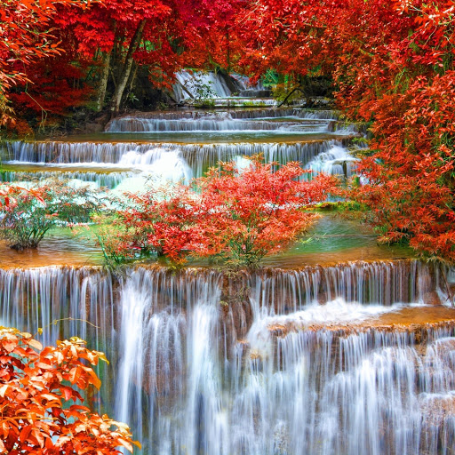 Hd-152290-ascw152290