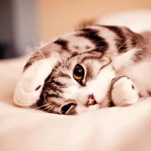 Hd-140364-ascw140364