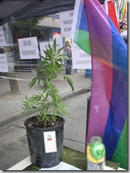 Pride 2011 063