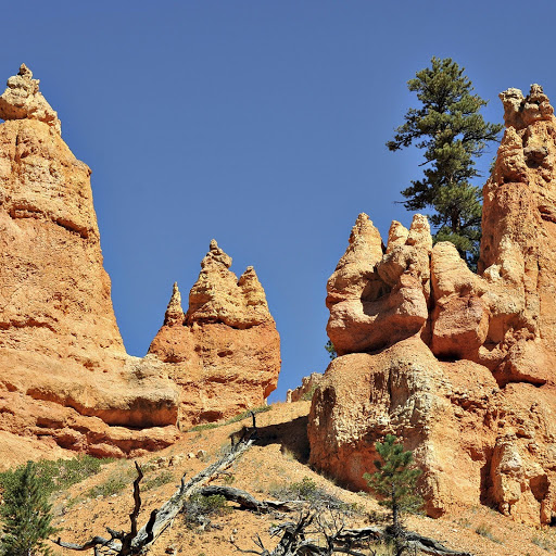 Hd-145520-ascw145520