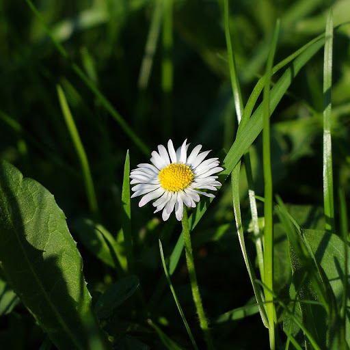 Hd-156581-ascw156581