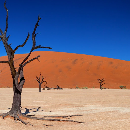 Hd-179915-ascw179915