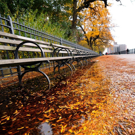 Hd-136237-ascw136237