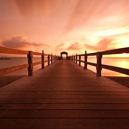 Hd-170353-ascw170353