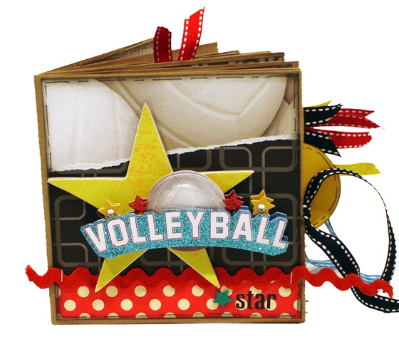 Volleyball Star 1