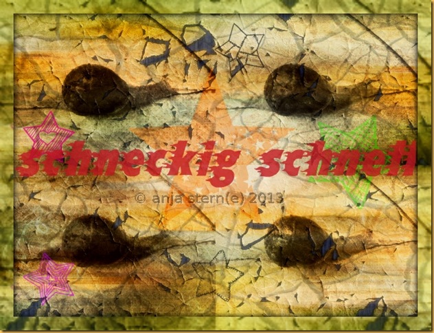 Schnecke Schnecke
