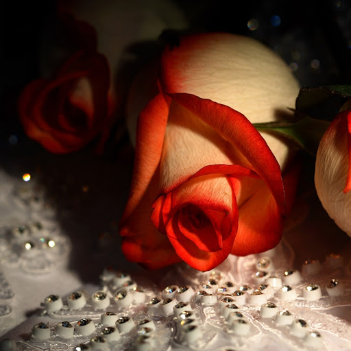 Hd-146719-ascw146719