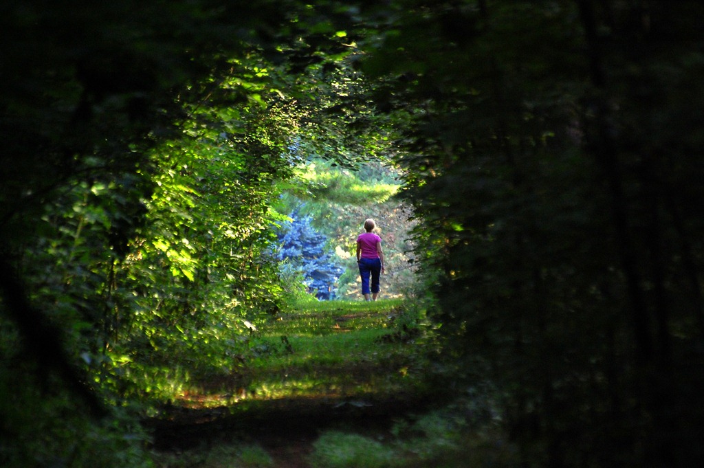 [DSC_4236%255B5%255D.jpg]