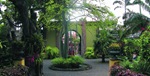 Vista entrada desde dentro del Jardín Botánico 47a222bdc852e
