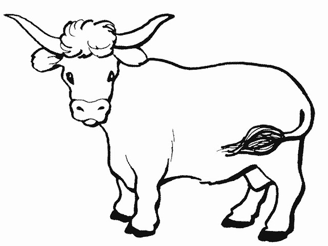 DIBUJO DE TORO