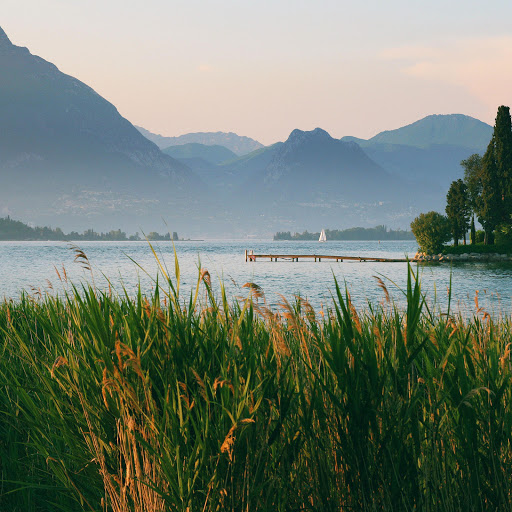 Hd-170393-ascw170393