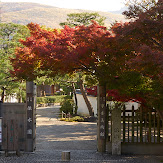 依水園,紅葉(PK3_0541,F9,60mm,K-3)2014yaotomi_.jpg