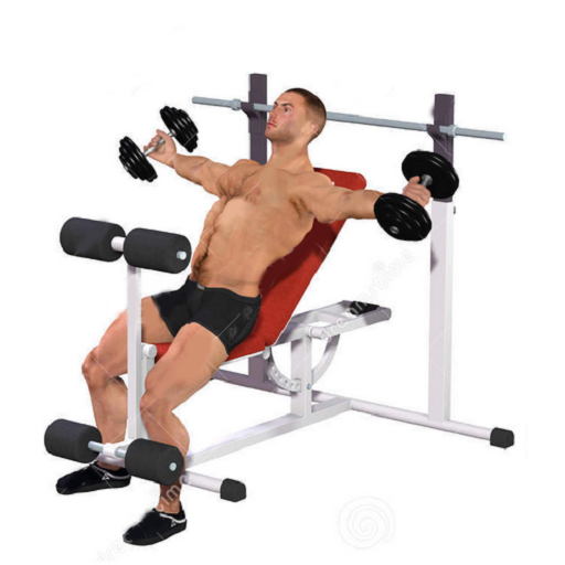 Chest workout 健康 App LOGO-APP開箱王