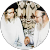 ברסלב היכל הקודש ברסלב היכל הקודש