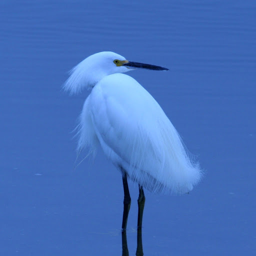 Hd-158231-ascw158231