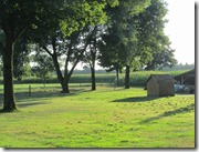 IMG_4811 IMG_4811