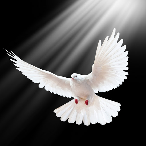 Hd-190490-ascw190490