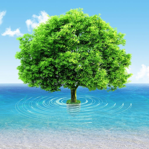 Hd-131587-ascw131587