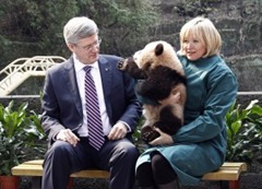 Harper and Panda