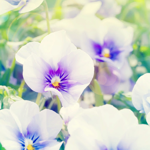 Hd-164083-ascw164083