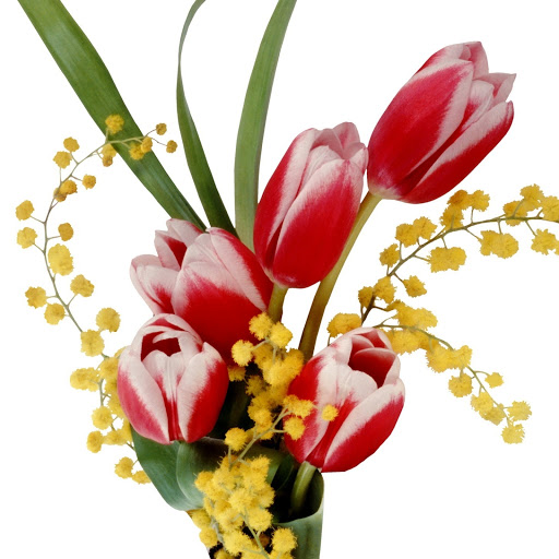 Hd-153329-ascw153329